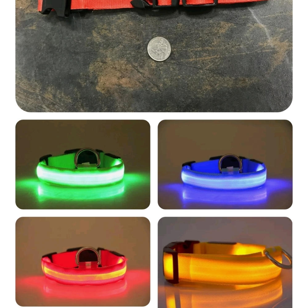 LED Nylon Dog Collar Light Up or Flash at Night.
